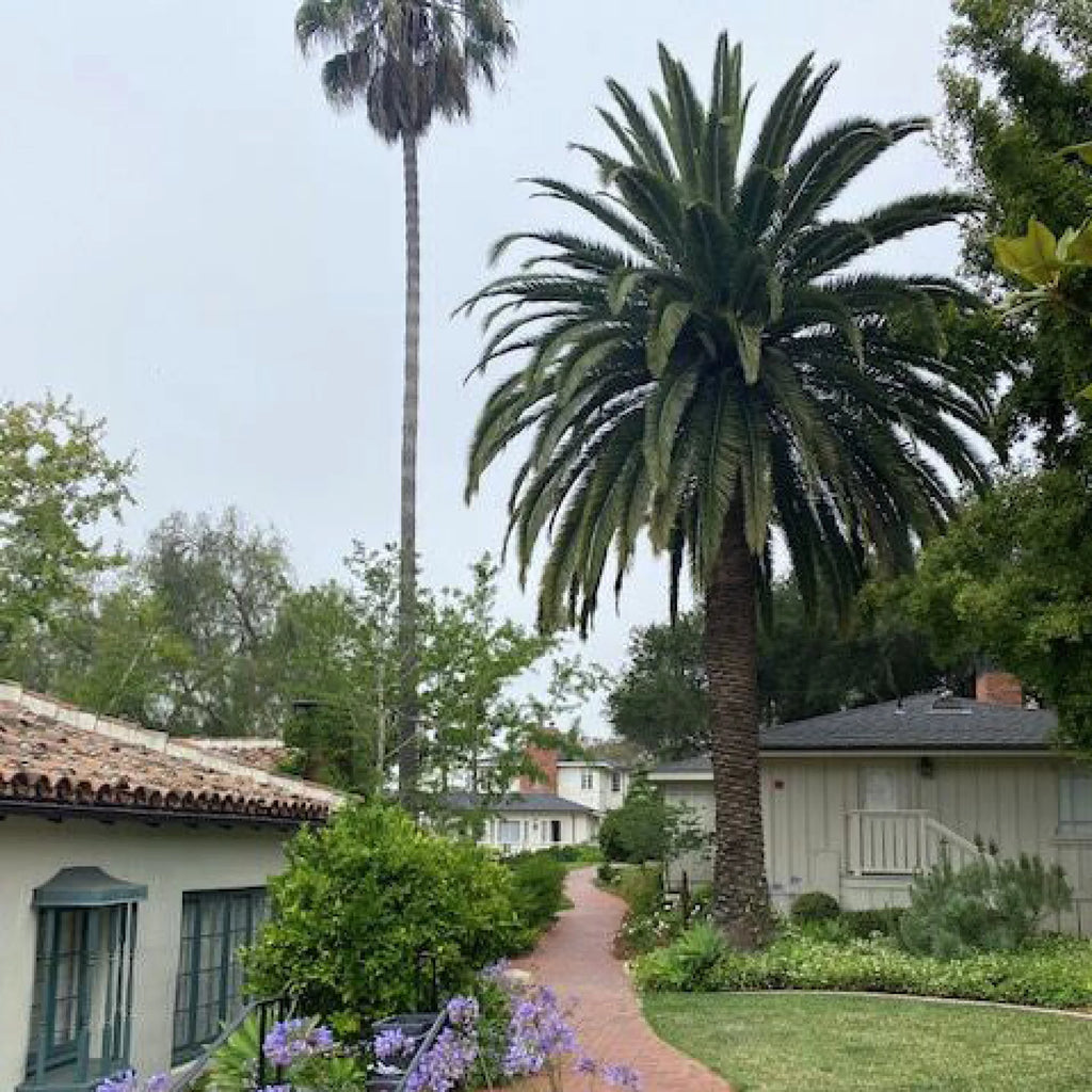 The Santa Barbara, CA Travel Guide